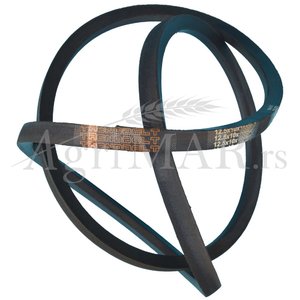 12.5x2550 La classical v-belt trendbelt