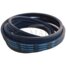 2HB5580 La wrapped banded v-belt BLUE DUNLOP (CL 667651.0)