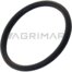 CL 630214.1 SEAL 34.2x3 mm