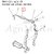 p19f7noibah011e0in6v53ma214.jpg