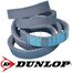 32x2490 La var. nazub. DUNLOP (CL 667457.0)