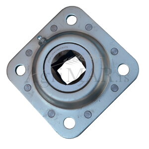 p1ank1in5p1b8b1ivl12co1kj56gt5.JPG