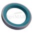 48x69x10 B oil seal ''DALMIK''