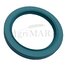 75x100x13 AS oil seal ''DALMIK''