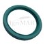 80x100x12 AS oil seal ''DALMIK''