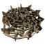 CL 607906.0 CONVEYOR CHAIN ASSEMBLY