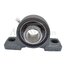 UCP 207 bearing CRAFT (UCP207.CRF)