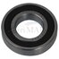 16003 2RS bearing CRAFT (16003-2RS.CRF)