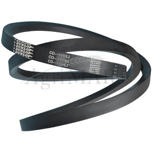 p1fh0598gts8l1pud5sa1vd2bik4.jpg