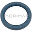 SEAL Ø 60.33 x 79.40 x 9.5 mm