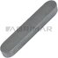 CL 750299.0 FITTING KEY