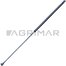 CL 798857.0 GAS STRUT L 1125 mm