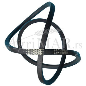p1guf59l525ua1kqr8cp1o4619504.jpg