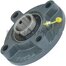 UCFC 206 bearing CRAFT (UCFC206.CRF)