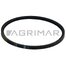 XPA 12.7x725 Lp nazub. GATES [GTS 0172189]