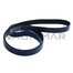 8PK1900 Lw GATES [GTS 0285301]